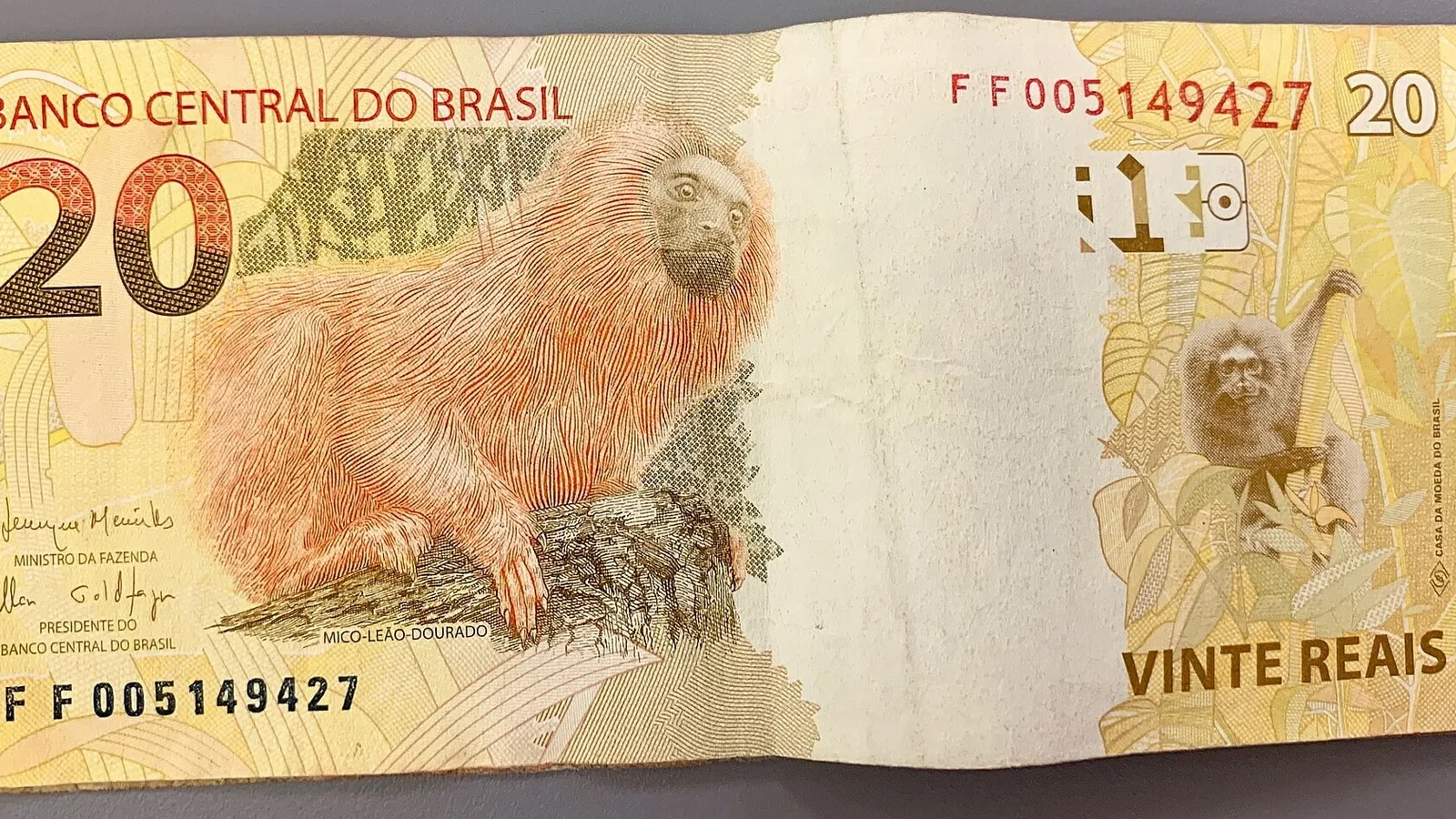 Cédula de 20 reais com o mico-leão-dourado, a moeda em que o CDB é remunerado